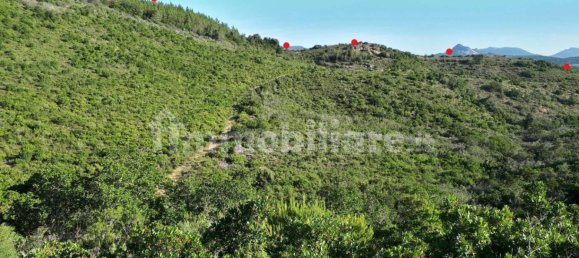 Terrain à Berchidda, Italy 535657m² No. 119610 15