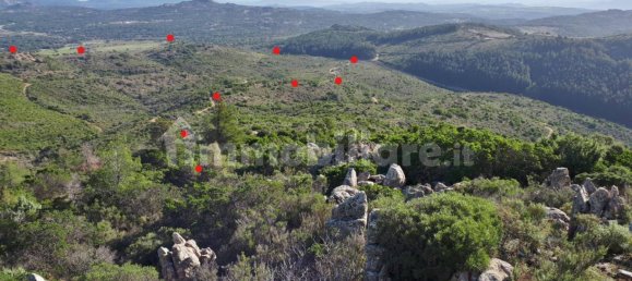 Terrain à Berchidda, Italy 535657m² No. 119610 11