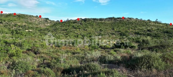 Terrain à Berchidda, Italy 535657m² No. 119610 8