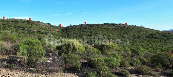 Terrain à Berchidda, Italy 535657m² No. 119610 4