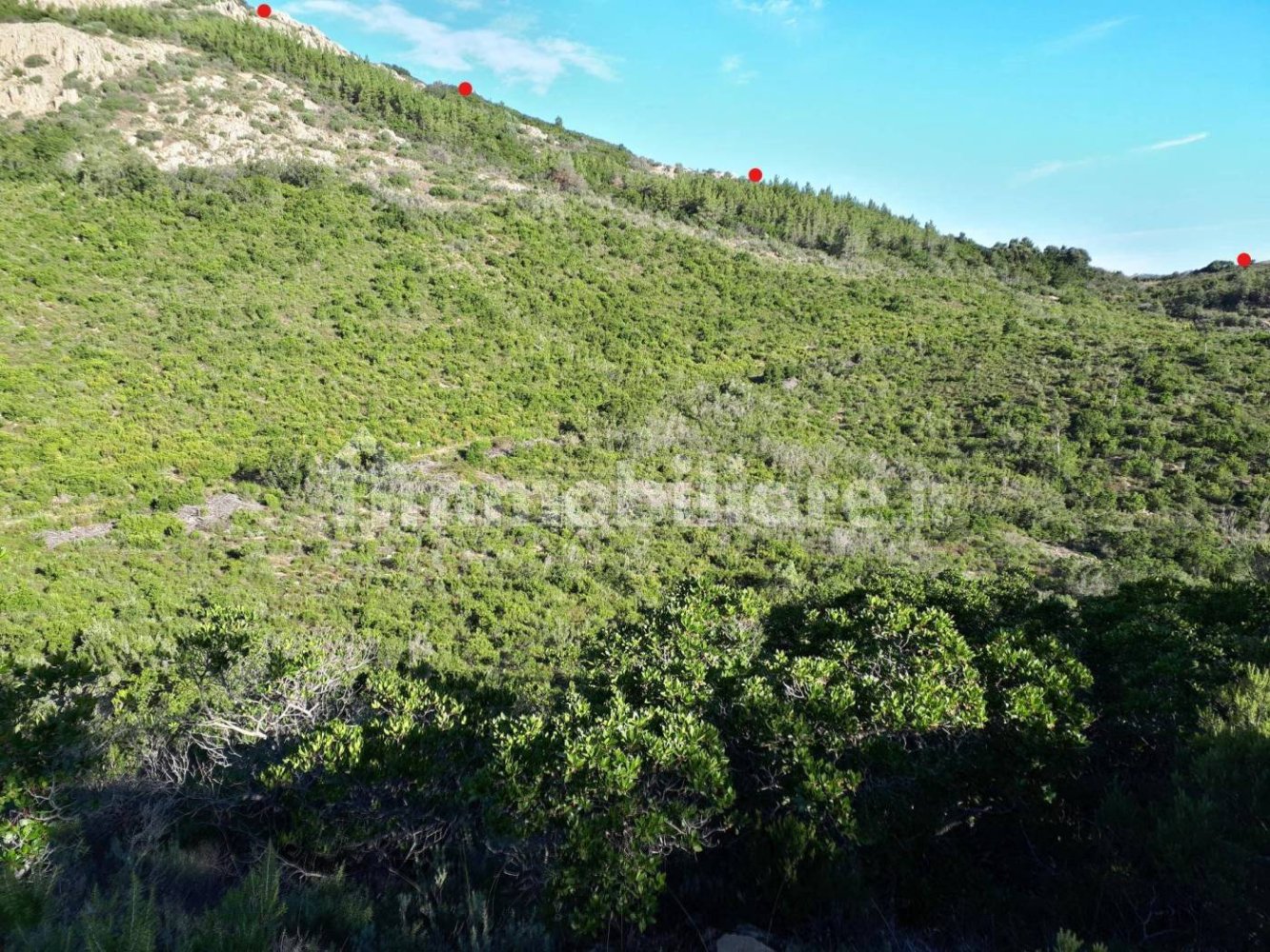 Terrain à Berchidda, Italy 535657m² No. 119610