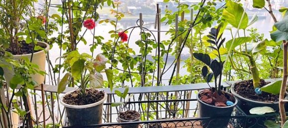 2 bedrooms Condo in The Panora Phuket Phuket, Thailand No. 29969 12