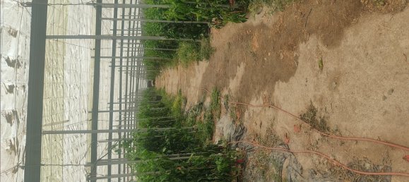 قطعة أرض في Gualchos, Spain رقم 159102 28