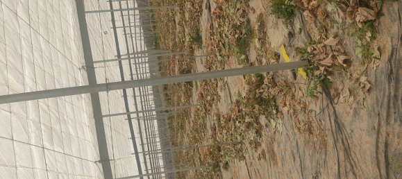 قطعة أرض في Gualchos, Spain رقم 159102 38