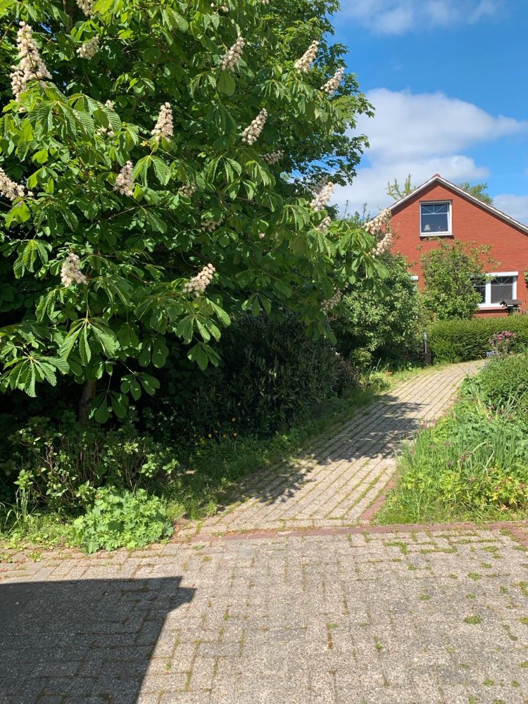 3 غرف نوم منزل في Aurich, Germany رقم 292999