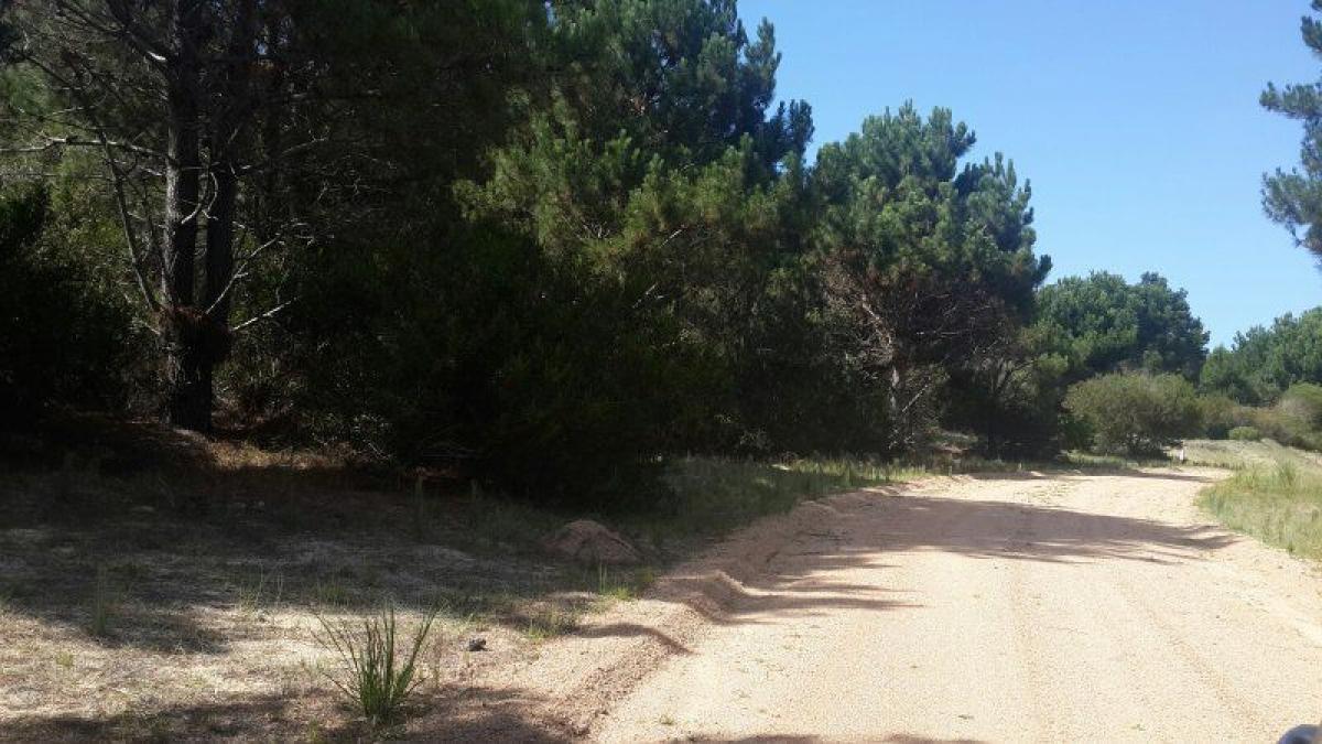 Grundstück in Maldonado, Uruguay, Nr. 15471