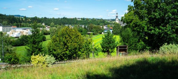  Land in Vocklamarkt, Austria No. 243775 5