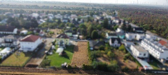  قطعة أرض في Strasshof an der Nordbahn, Austria رقم 246666 2