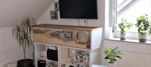 Таунхаус с 4 спальнями в Гютерсло, Германия № 350921 11