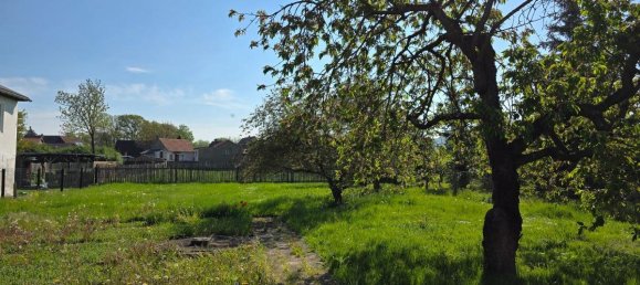 6 rooms House in Mansfeld-Sudharz, Germany No. 224544 4