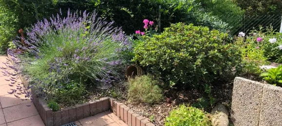 Дом с 3 спальнями в Altenkirchen, Германия № 182220 20