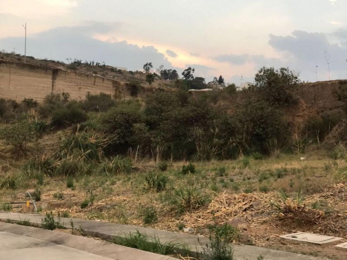 Terrain à Mexico No. 206602