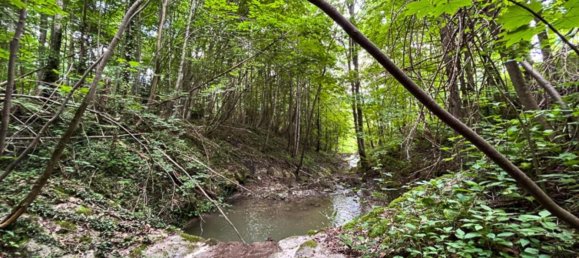  قطعة أرض في Kirchdorf an der Krems, Austria رقم 110821 7
