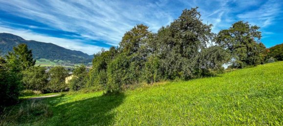  قطعة أرض في Kirchdorf an der Krems, Austria رقم 110821 4