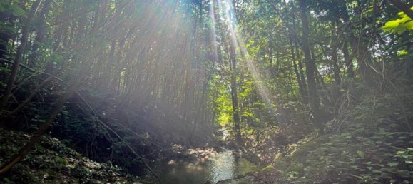  قطعة أرض في Kirchdorf an der Krems, Austria رقم 110821 8