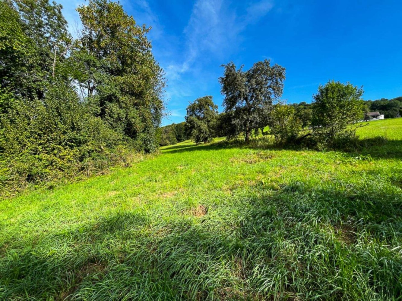  قطعة أرض في Kirchdorf an der Krems, Austria رقم 110821