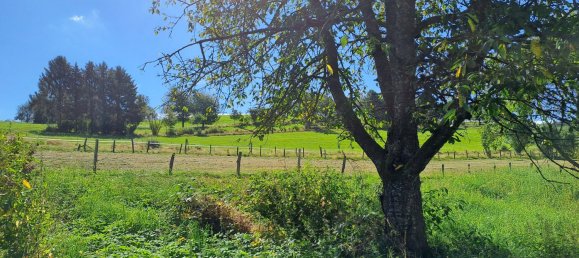 Moradia em banda de 7 divisões em Altenkirchen, Germany N.º 124201 12