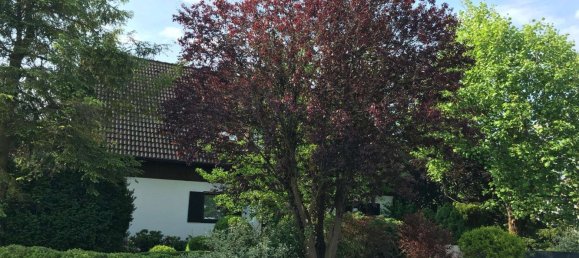 Дом с 3 спальнями в Регенсбург, Германия № 128707 8