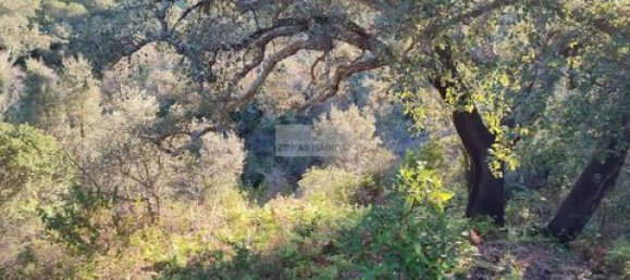 Land in Monchique, Portugal No. 151601 4