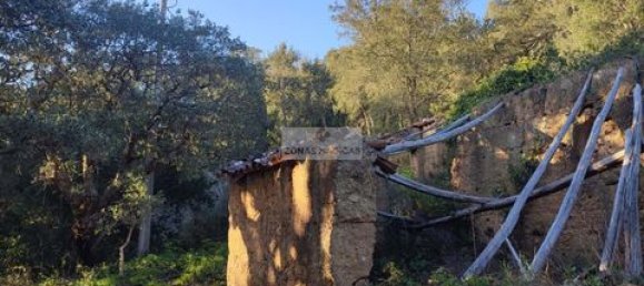 Land in Monchique, Portugal No. 151601 3