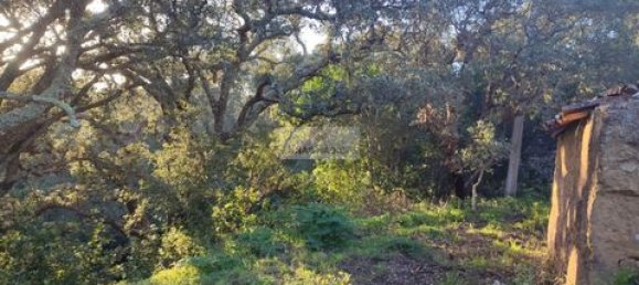 Land in Monchique, Portugal No. 151601 7