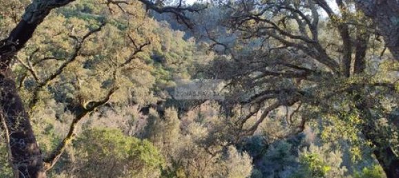 Land in Monchique, Portugal No. 151601 6