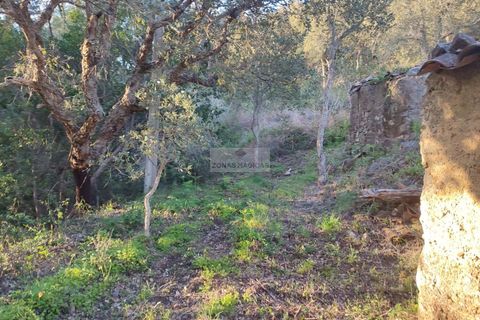  Land in Monchique, Portugal No. 151601