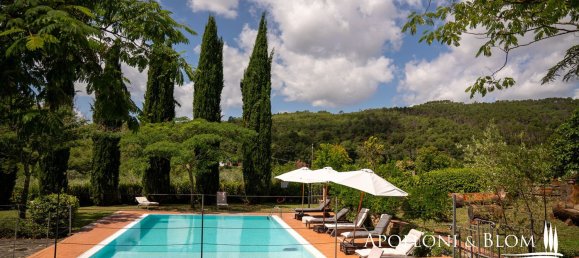 20 rooms Villa in Loro Ciuffenna, Italy No. 52886 23