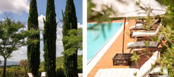 20 rooms Villa in Loro Ciuffenna, Italy No. 52886 45