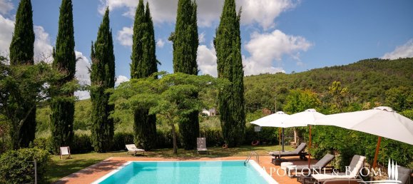 20 rooms Villa in Loro Ciuffenna, Italy No. 52886 19