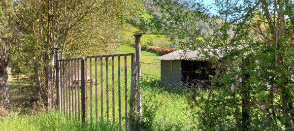 Terreno de 1 habitación en Monterotondo, Italy No. 136974 4