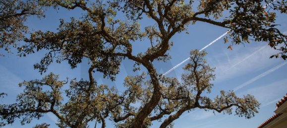 Grundstück in Santiago do Cacem, Portugal 218m², Nr. 236859 38