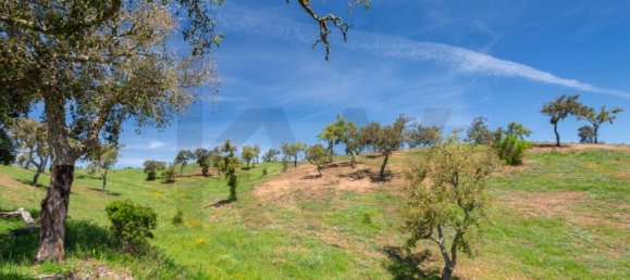 Grundstück in Santiago do Cacem, Portugal 218m², Nr. 236859 8