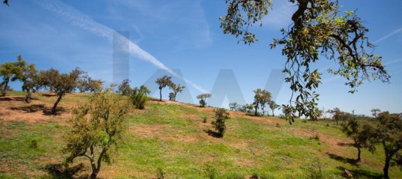 Grundstück in Santiago do Cacem, Portugal 218m², Nr. 236859 9