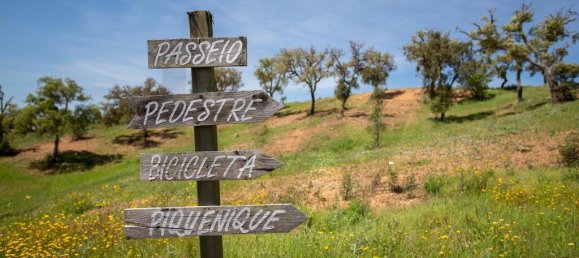 Grundstück in Santiago do Cacem, Portugal 218m², Nr. 236859 13