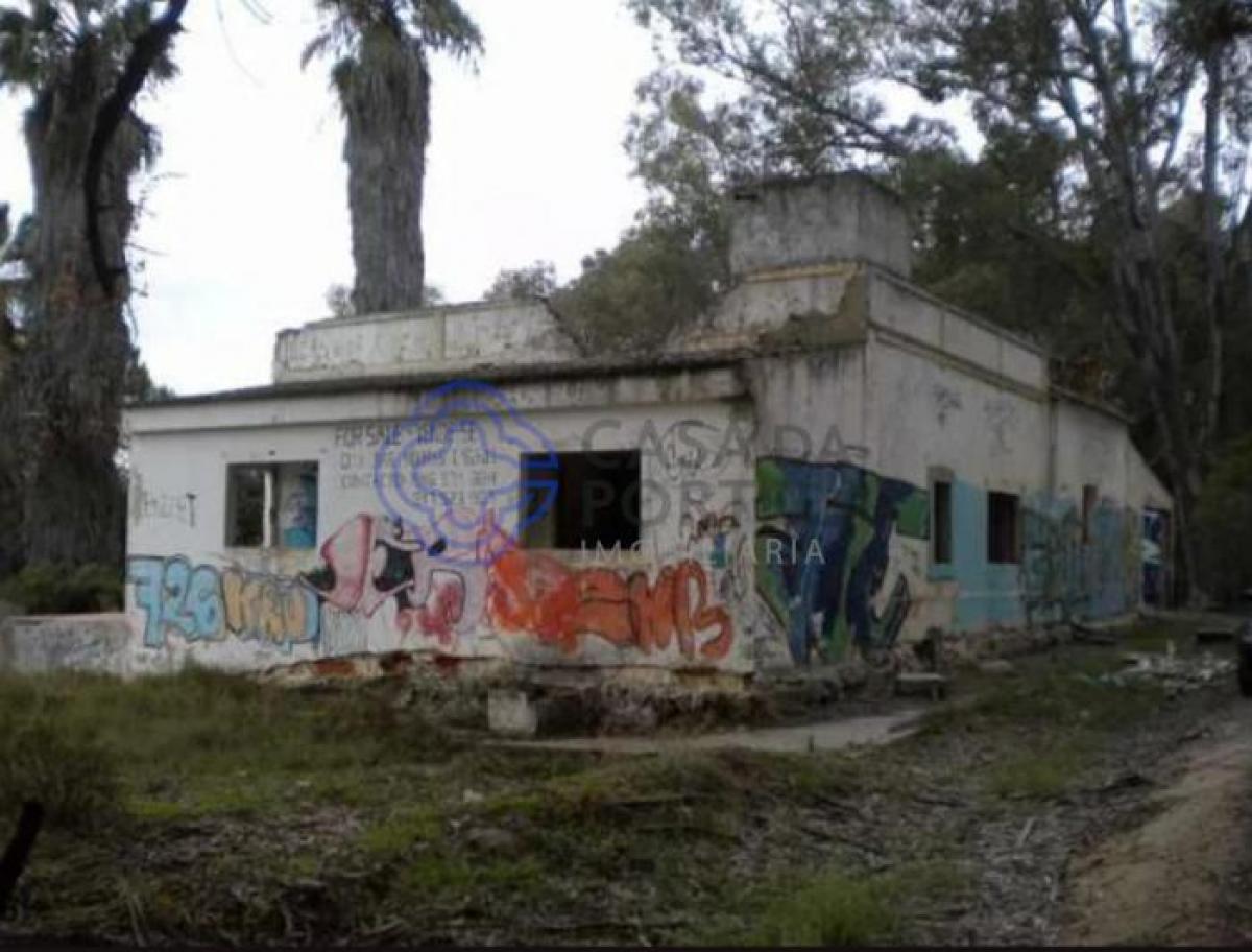  Land in Faro, Portugal No. 8951