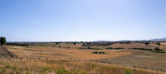 Дом с 10 комнатами в Монтальто ди Кастро, Италия № 260587 7