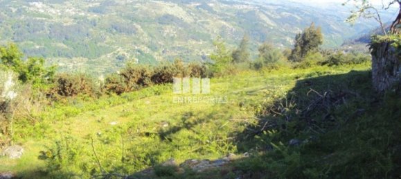 20000m² Land in Cinfaes, Portugal No. 69509 7