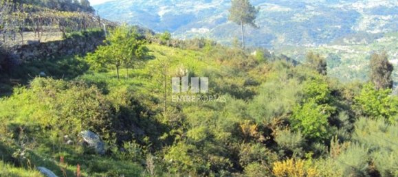 20000m² Land in Cinfaes, Portugal No. 69509 12