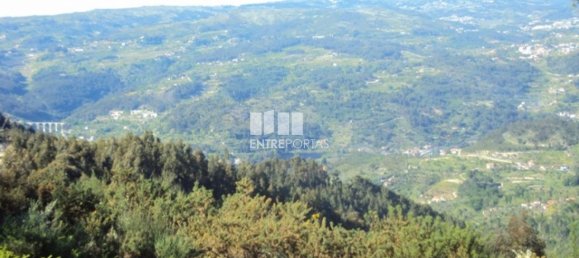 20000m² Land in Cinfaes, Portugal No. 69509 10