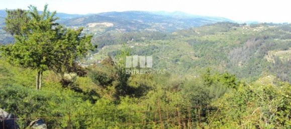 20000m² Land in Cinfaes, Portugal No. 69509 2