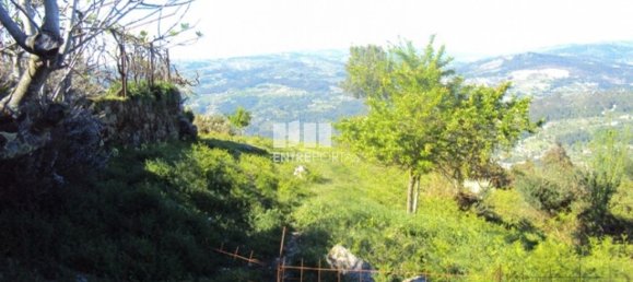 20000m² Land in Cinfaes, Portugal No. 69509 9