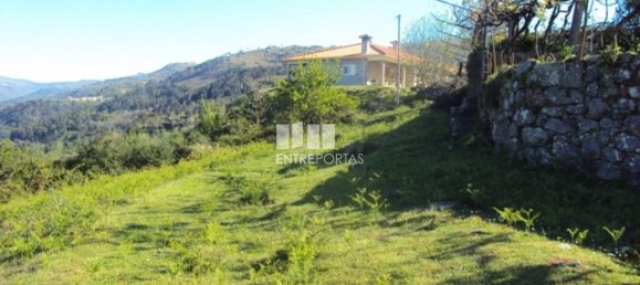 20000m² Land in Cinfaes, Portugal No. 69509 3