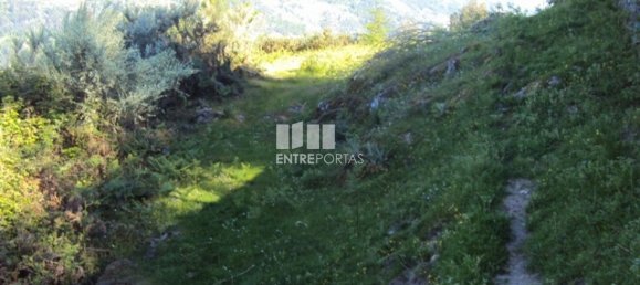 20000m² Land in Cinfaes, Portugal No. 69509 6