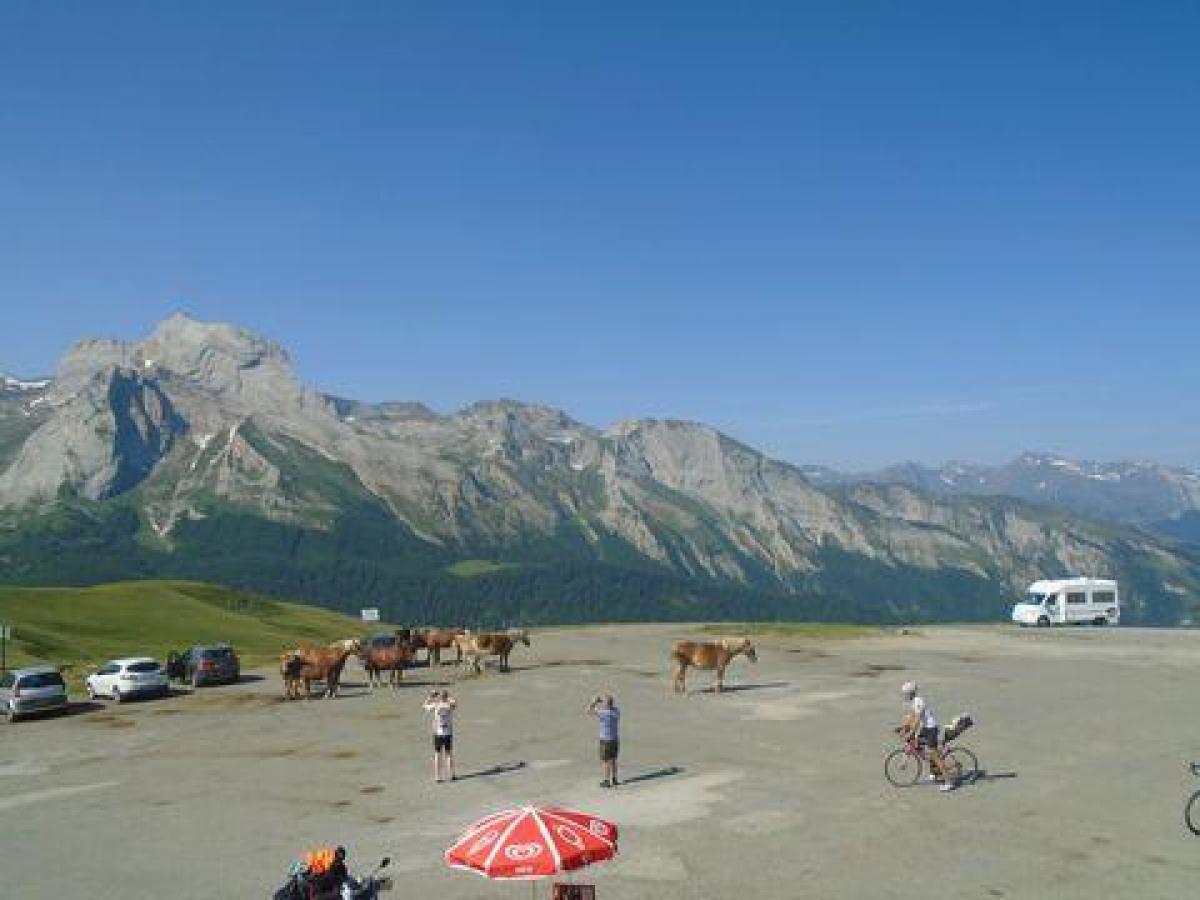 15 bedrooms Office in Pau, France No. 18543