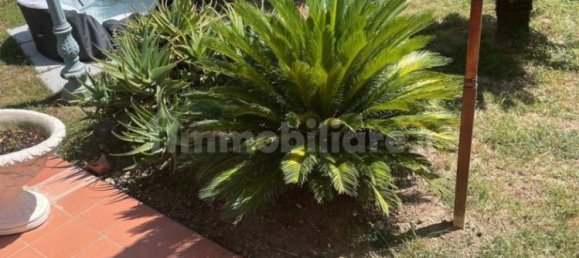 Casa de 5 divisões em Carrara, Italy N.º 48121 8