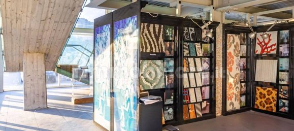 1900m² Warehouse in Viareggio, Italy No. 325346 11