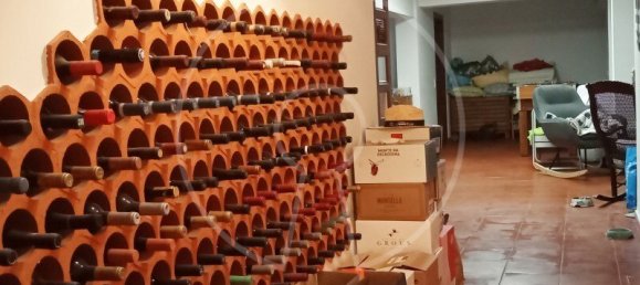 3 bedrooms Villa in Cascais, Portugal No. 111757 18