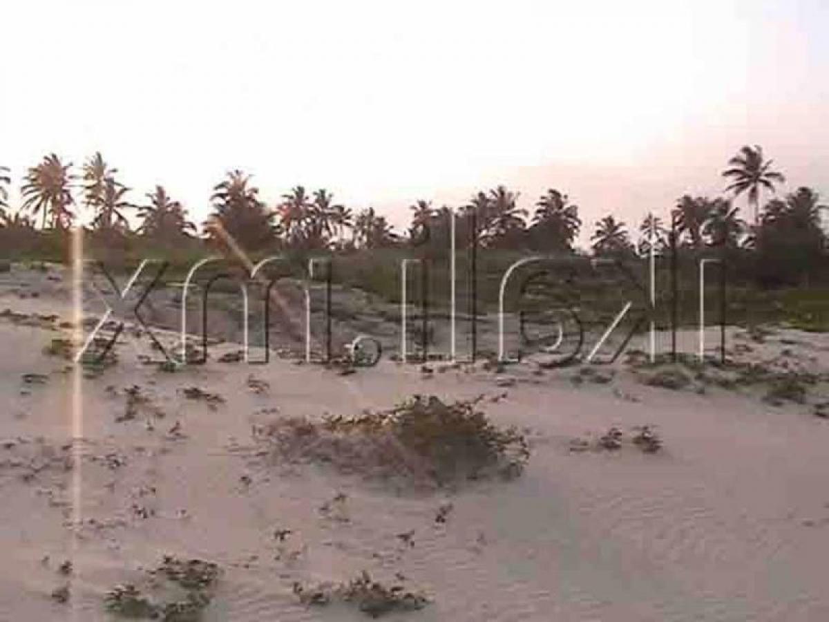  Land in Veracruz, Mexico No. 207167