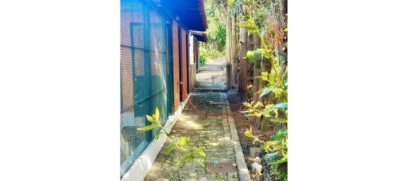 5 غرف نوم قطعة أرض في Penafiel, Portugal رقم 103874 10